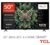 TCL 50C6K 50 Inch Mini LED Smart TV