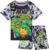 TEENAGE MUTANT NINJA Turtles Swimsuit Set for Boys 2 Pcs with Swimming Trunks Boys Rash Vest for Swimming Beach Trip Holiday Essentials