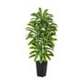TNGGNT 6ft Artificial Dracaena Tree – Indoor Plant