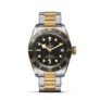 TUDOR Heritage Black Bay S&G 41mm Watch M79733N-0008 Watch