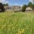 TWO nights Riverdale Hall Hotel Northumberland for two people Standard or Superior Room Leisure Facilities (members)