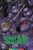 Teenage Mutant Ninja Turtles (1990) 4K Dolby Vision (Arrow) / Trilogy £11.97 To Buy