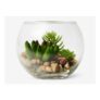 Terrarium