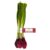 Tesco Red Spring Onions 120G – Clubcard Price