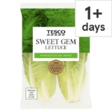Tesco Sweet Gem Lettuce – Clubcard Price
