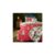 The BFG Christmas Red & White Kids Bedding Set – Single