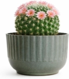 The Happy Garden Galvanised Metal Planter Pot, Medium Size Metal Plant Pot for Windowsill, Indoor & Outdoor Use, Rust-Resistant with Drainage Holes (Ribbed)