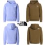 The North Face Teens Simple Dome Light Regular Hoodie (Size: XS – XL) – W/Code – Free Delivery for XLPR Members
