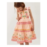 Tina Tropical Toucan Embellished Dress Pink