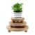 Toothbace 3-Piece Wood Plant Stands, 6/8/10 Inches, Indoor Decor