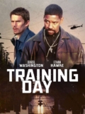 Training Day (2001) 4K UHD with Dolby Vision / Atmos Digital Download to Buy