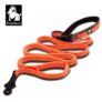 Truelove Adjustable Dog Running Leash with code. Sold by TRUELOVE PET Official Store