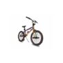 Urban Gorilla 20 Unisex BMX Bike – Octane