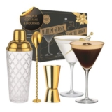 Vemacity Glass Cocktail Making Kit 2 Ribbed Martini Glasses