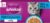 WHISKAS Adult Wet Cat Food in Jelly 40x85g Fish Favourites