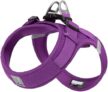 WINHYEPET Truelove Dog Harness Soft Mesh Reflective Breathable Step-In Dog Harness,Easy Adjustment Harness with Safety Buckle for Extra Small and Small Dogs, Vest Harness TLH3013(Purple,2XS)