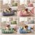 Water Resistant Box Pet Bed (5 Different Designs) Medium £8.75/ Large £11.25 (Links in Description Free Click & Collect