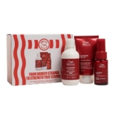Wella Professionals Ultimate Repair Travel Set