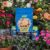 Westland Peat-free Boost Multi-purpose Compost 25L Free C&C