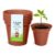 Whitefurze 12.7cm Garden Pot Terracotta Set of 5