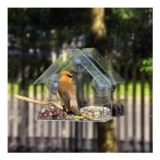 Window Bird Feeder