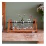 Winning Propagation Vases with Stand