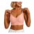 Wireless Push-up Jelly Bras, Seamless, Non-Wired Padded