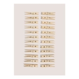 Wooden Pegs