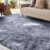 XSIVOD Soft Area Rugs 160x230cm with voucher Sold by XSIVOD EU / FBA