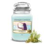 Yankee Candle Scented Candle Catching Rays Large Jar 623g – £13.53 / £12.10 S&S (Prime Deal)