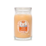 Yankee Candle Slopeside Spritz Signature Large Jar Candle