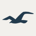 Hollisterco