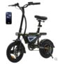 isinwheel EB1S Compact Folding Electric Bike
